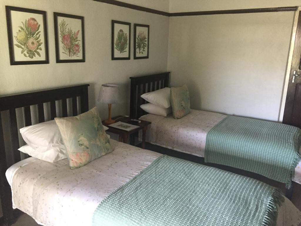 Best Little Guest House new name is Beit Shalom Guest House Oudtshoorn Exterior foto