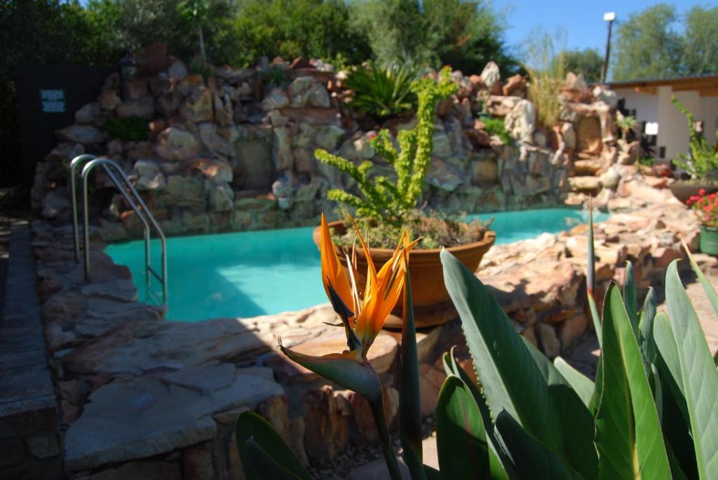 Best Little Guest House new name is Beit Shalom Guest House Oudtshoorn Exterior foto